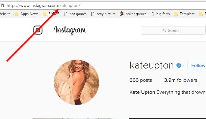 search instagram users