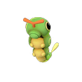 Caterpie