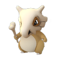 Cubone