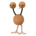 Doduo