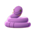 Ekans