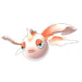 Goldeen