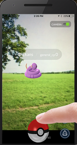 How to catch pokemon