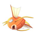 Magikarp