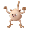 Mankey