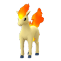Ponyta