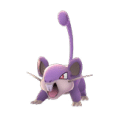 Rattata