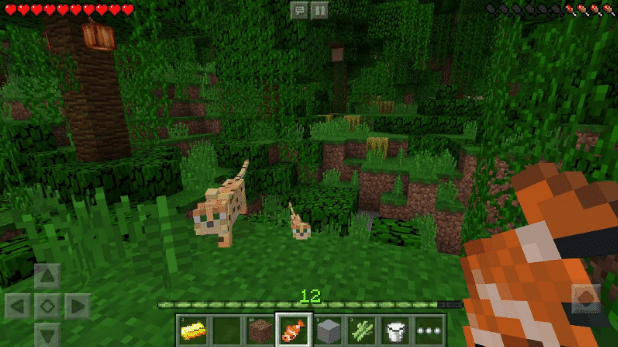 Minecraft Pocket Edition