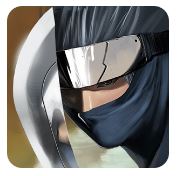 ninja revenge