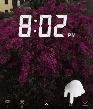 delete snap