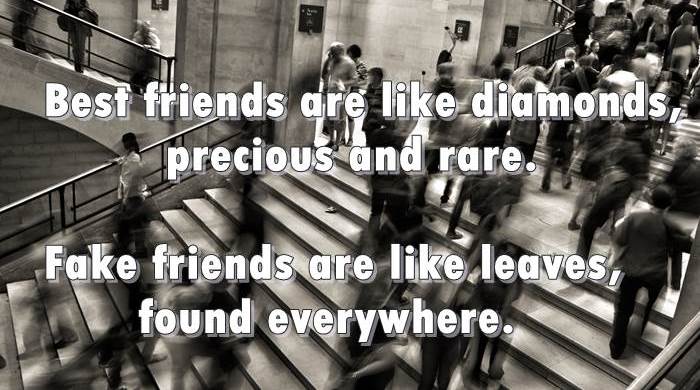 FRIENDSHIP QUOTES