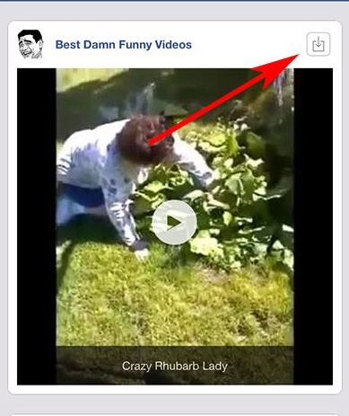 How To Download Video Downloader for Facebook (iPhone)