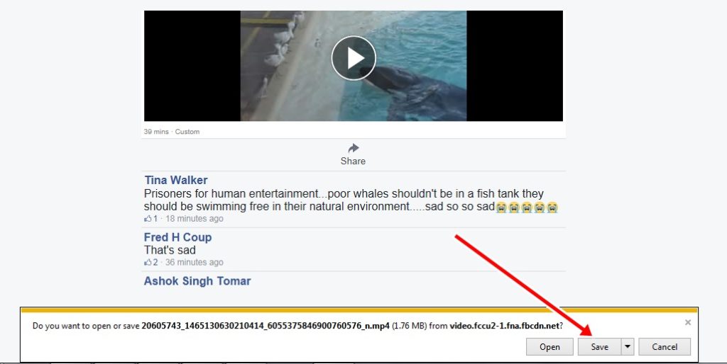 download facebook videos on explorer