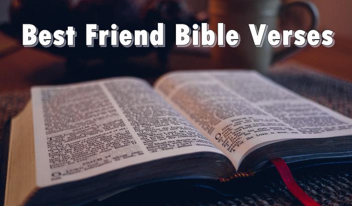 friendship bible quotes