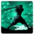 Shadow Fight 2