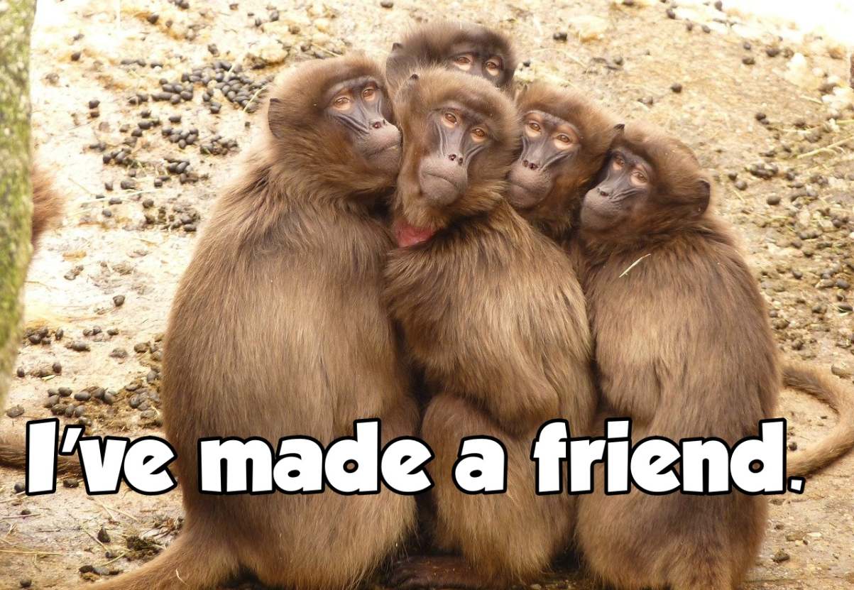 snapchat group selfie captions