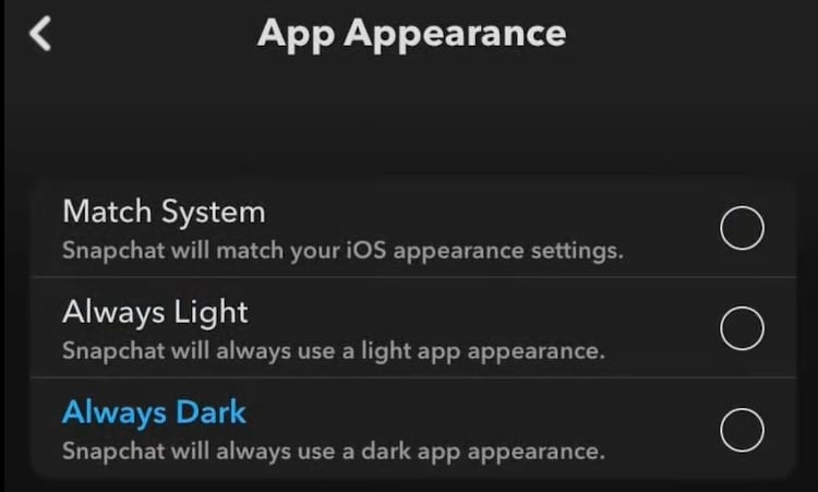 Snapchat app apearance options